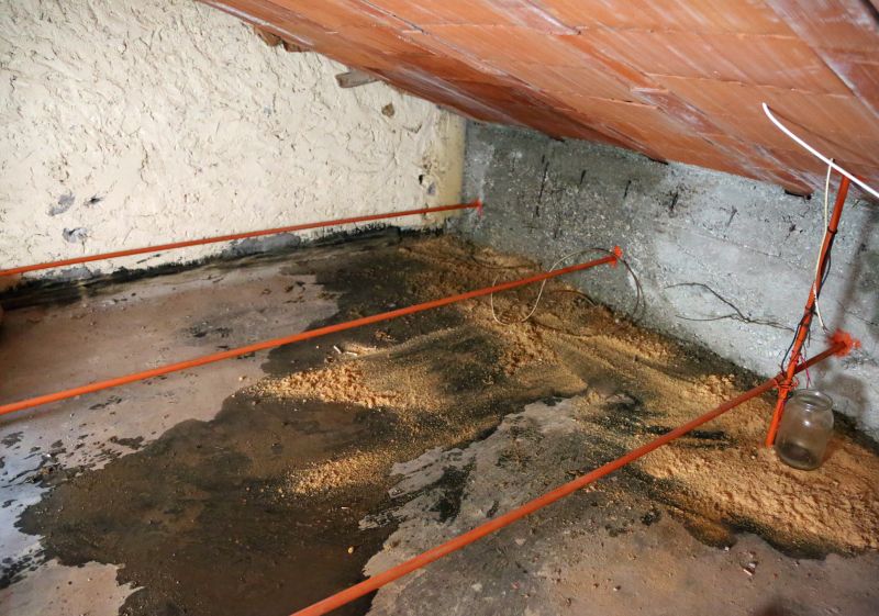 Attic Water Damage Repair in Katy, TX