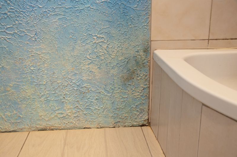 Bathroom Water Damage Repair in Denver, CO